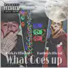 Harley2official - What Goes Up (feat. Dak2Official) - Single